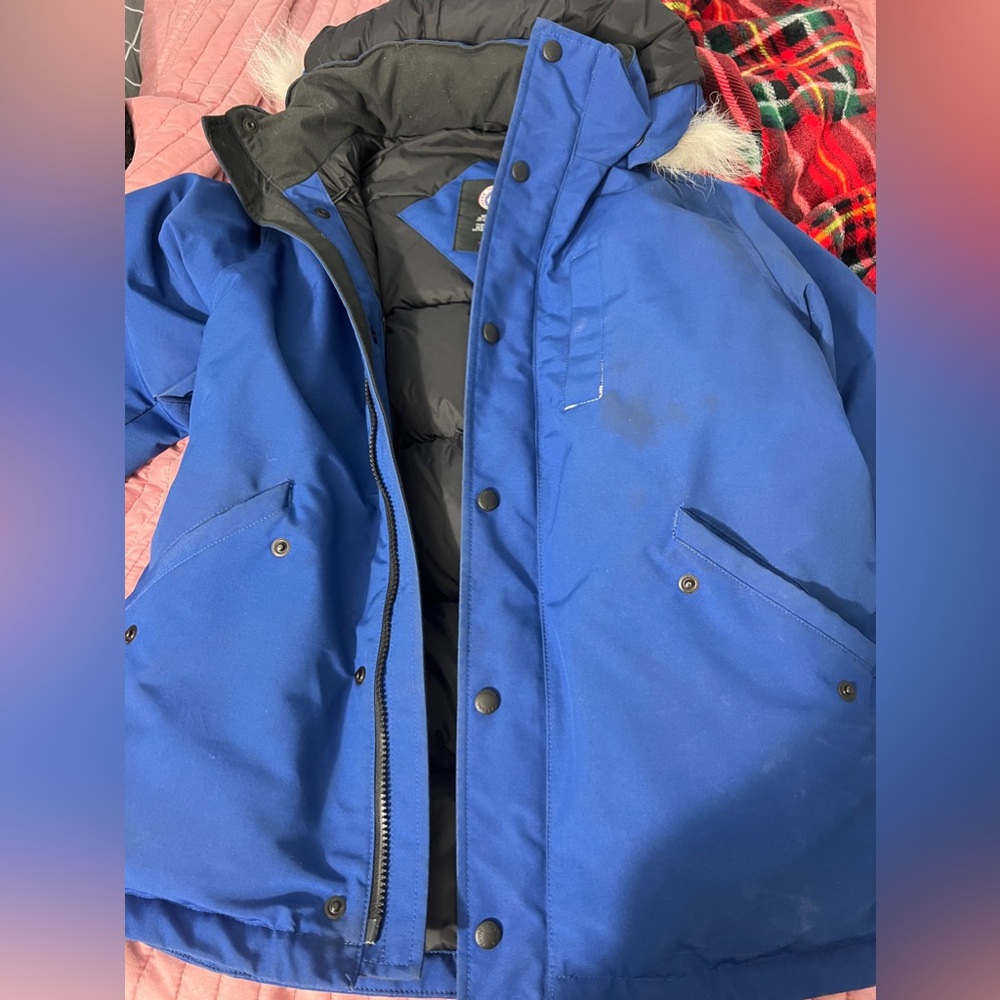 Blue Canada Goose Size L 14-16